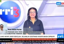 Libur Sekolah Bawa Berkah bagi Desa Wisata Jatiluwih