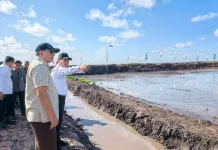 Mentan Tambah Anggaran Pertanian untuk Papua