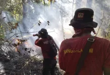 Manggala Agni Padamkan 10,5 Hektare Karhutla Aceh Selatan