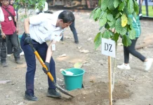 KAI Telah Menanam 99.785 Pohon demi Keberlanjutan Bumi