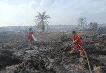 Manggala Agni Padamkan Karhutla di Rokan Hilir