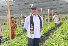 Mentan Bidik Ekspor Kopi Indonesia Tembus Rp100 Triliun