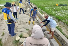 Kementerian PU Percepat P3TGAI Hadapi El Nino, Serap 26.602 Tenaga Kerja