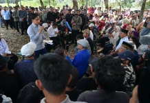 Wapres Dukung Penguatan Ekosistem Singkong untuk Swasembada Pangan