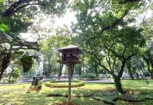 Ketahui Lima Taman Kota di Jakarta yang Cocok untuk Healing