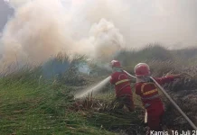Kemenhut Perketat Pengawasan Karhutla, Pelaku Pembakaran Diancam Sanksi Pidana