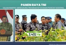 Panen Raya Jadi Momentum Panglima TNI Laporkan Kontribusi Pangan ke Presiden