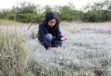 BMKG Ungkap Waktu Terbaik Melihat Embun Upas di Dieng, Catat Jamnya!