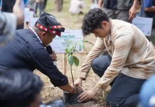 WWF Indonesia-Jerhemy Owen Salurkan Bibit Pohon untuk Pemulihan Aceh