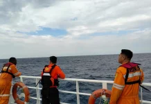 Tim SAR: Dua Korban KM Nurul Salsa Ditemukan Selamat
