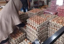 Bapanas Pastikan Harga Telur dan Ayam Broiler Mulai Pulih