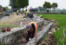 Kemenko PMK Dorong Pemda Perkuat Kesiapsiagaan Hadapi Dampak El Nino