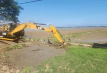 Pemulihan Sawah Terdampak Bencana di Aceh Capai 40.852 Hektare