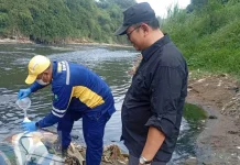 Dinas Lingkungan Hidup Bekasi Telusuri Sumber Penyebab Pencemaran Kali Bekasi