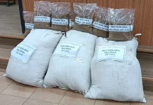 Kementan Pastikan Pasokan MBM Nasional Tetap Aman