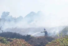 BNPB Kerahkan Water Bombing Tangani Karhutla di Ketapang
