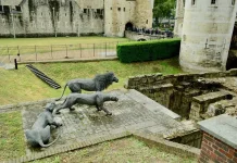 Tower Menagerie, Cikal Bakal Kebun Binatang Modern di Inggris
