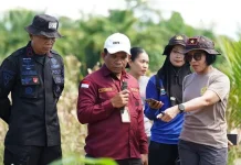 Bulog Manokwari Serap 73 Ton Jagung Petani Binaan Polda Papua Barat