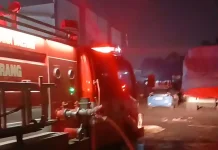 Pabrik Kardus di Kabupaten Tangerang Terbakar, Kerugian Capai Rp3 Miliar