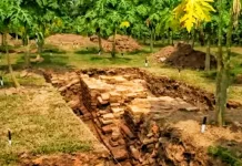BRIN Kembangkan Riset Multidisiplin untuk Menguak Jejak Kota Majapahit