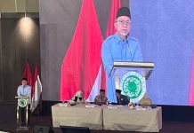Setahun Indonesia Tak Impor Beras, Menko Pangan: Kini Surplus 4,2 Juta Ton
