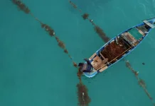 Bahaya Sampah Plastik bagi Ekosistem Laut dan Cara Menguranginya