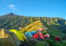 Tiga Taman Nasional Ikonik Kini Bisa Kelola Pendapatan Sendiri