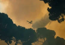Kebakaran Hutan di Prancis dan Spanyol Paksa Ratusan Ribu Warga Mengungsi