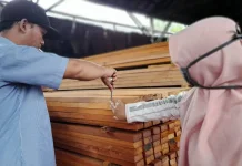 Kemenhut Rombak Aturan Pengolahan Kayu, tanpa Korbankan Kelestarian Hutan