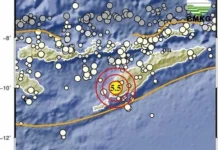 Gempa M5,5 Guncang Kupang, BMKG: Tidak Berpotensi Tsunami