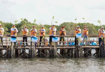 KLH Perkuat Sinergi Lintas Kementerian, Lindungi Ekosistem Mangrove