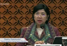 Profil Destry Damayanti, Penjabat Sementara Gubernur BI Gantikan Perry Warjiyo