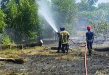 Karhutla Seluas Tiga Hektare Terjadi di Bangka Tengah