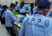 BGN Hentikan 261 Pegawai Non-ASN dari SPPG Bermasalah