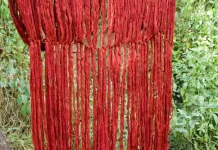 Tak Banyak yang Tahu, Akar Mengkudu Pernah Jadi Pewarna Kain Tradisional