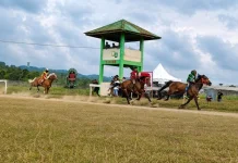 Sumba Bidik Panggung Dunia lewat Sport Tourism Pacu Kuda