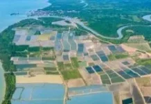 Radar AIS Perkuat Pengawasan Perairan Kaltim, Cegah Pelanggaran Kapal