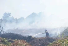 BPBD Kalbar Perpanjang Status Siaga Darurat Asap hingga 15 November