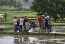 Aceh Jaya Kerahkan Pompa Brigade Pangan Atasi Kekeringan Sawah Warga