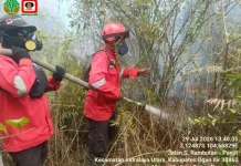 Manggala Agni Tangani Enam Titik Karhutla di Sumatera Selatan