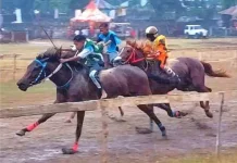 Pacu Kuda Sumba Bersiap Tampil di PON XXII 2028