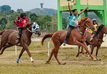 Pacu Kuda Sumba Dorong Ekonomi Masyarakat Lokal