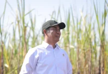 Kementan Percepat Upaya Swasembada Gula