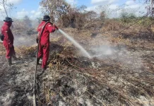 DPR minta BMKG Perkuat Mitigasi Hadapi Ancaman El Nino 2026