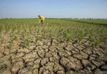 BMKG Perluas Operasi Modifikasi Cuaca Antisipasi El Nino