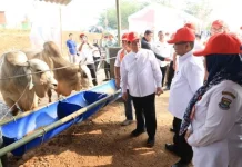 Gubernur DKI Investasi Sentra Ketahanan Pangan, Ini Respons Andra Soni