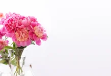 Tips Merawat Bunga agar Tetap Segar dan Awet