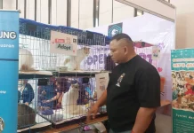 Pecinta Hewan Peliharaan Apresiasi Hadirnya Bekasi Pet Expo 2026