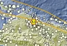Gempa Magnitudo 3,1 Landa Wilayah Barat Laut Sarmi, Papua