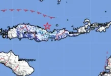Gempa Magnitudo 4,6 Guncang Laut Utara Mbay, Nagekeo